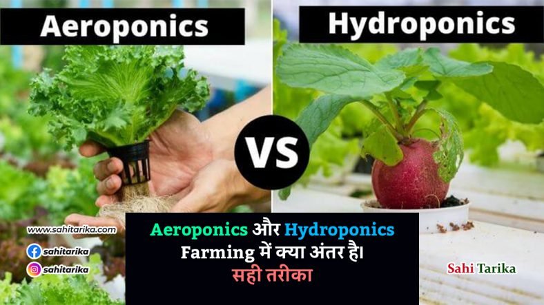 Aeroponics और Hydroponics Farming में क्या अंतर है। सही तरीका